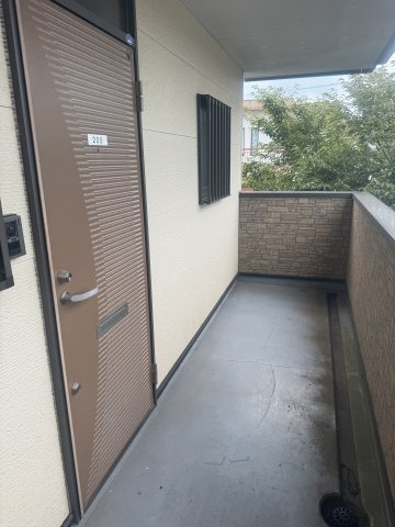  | MS,フリージア