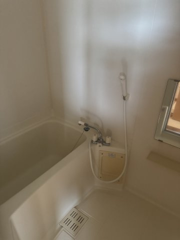  | MS,フリージア