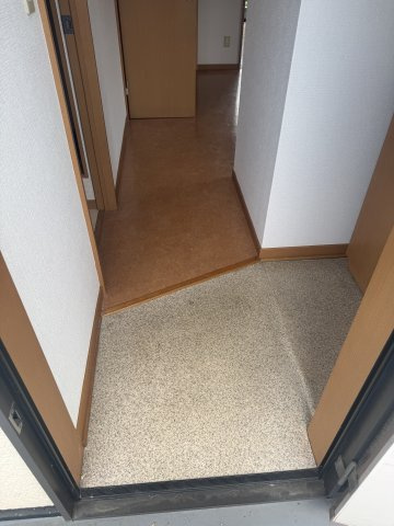  | MS,フリージア