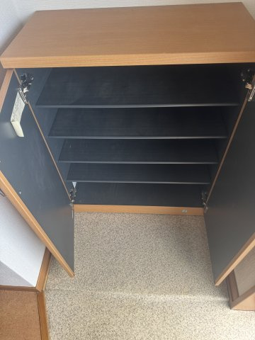  | MS,フリージア