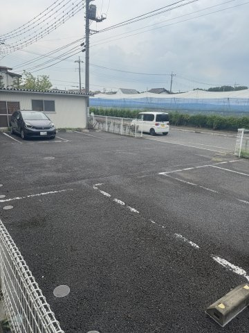  | MS,フリージア