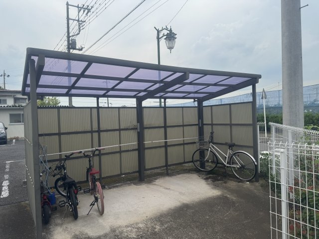  | MS,フリージア