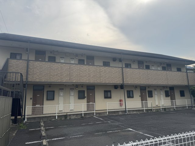  | MS,フリージア