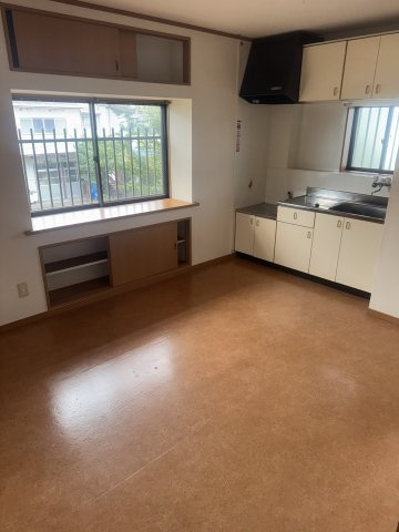  | MS,フリージア