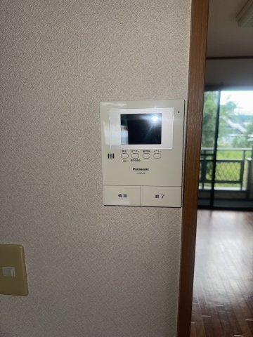  | MS,フリージア