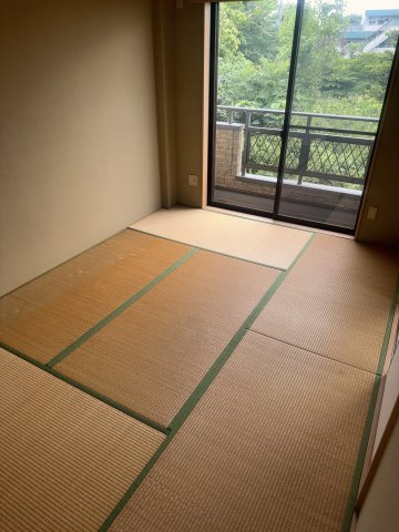  | MS,フリージア