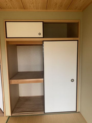  | MS,フリージア