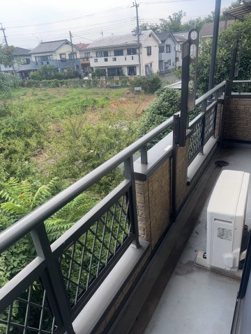  | MS,フリージア