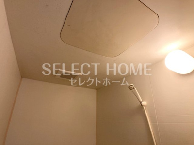  | ナスキー２１