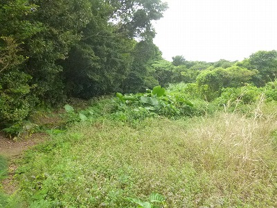【外観】 | 本部町大堂売地