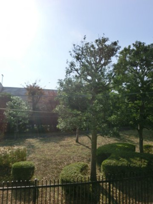 【展望】 | サンハイツ南 | サンハイツ南　眺望