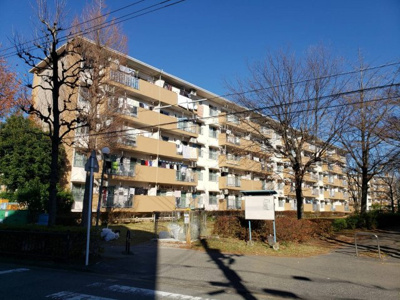 【外観】 | 新栄町団地3街区8号棟