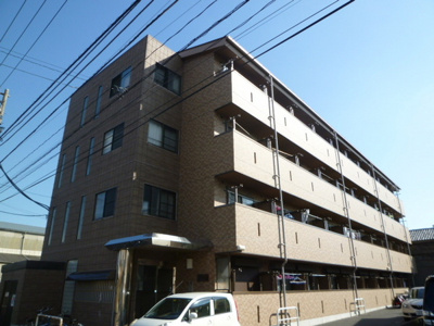 【外観】 | ラクダ