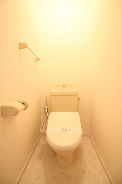 セジュール水上【キャッシュバック対象物件】のトイレ|落ち着いたトイレです