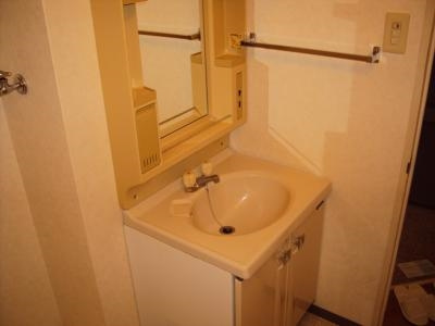 パラシオ西洞院の洗面所