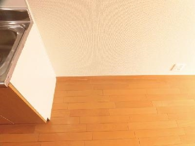 THE CITY太秦（ザシティ太秦）のその他|冷蔵庫設置スペース