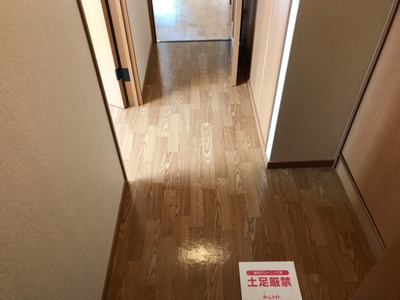 【その他】 | ロータスコンファ