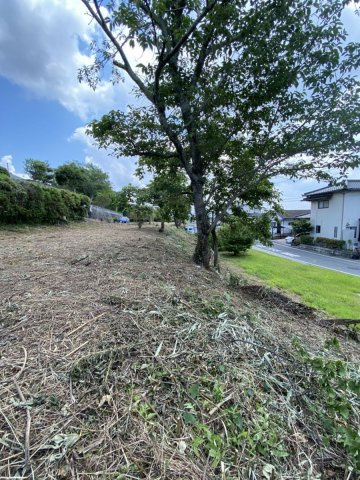 【前面道路含む現地写真】 | 伊方売地