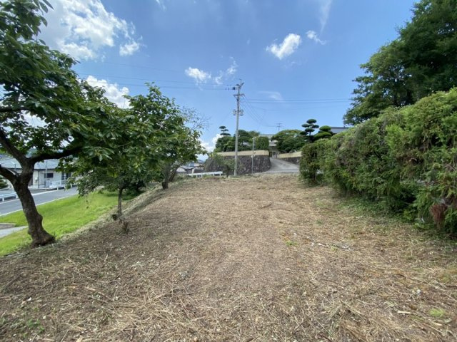 【前面道路含む現地写真】 | 伊方売地