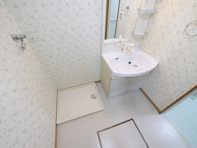 セントポーリア（大安寺）の洗面所|脱衣スペースもあります