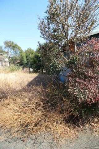 前橋市小島田町売地の外観