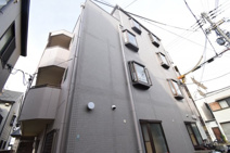 ステラ50　の画像