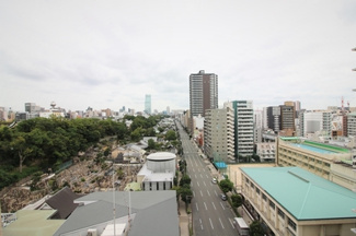 【展望】