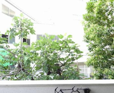 【展望】 | f-cube 1st Toyonaka | ※同タイプの写真となり、実際のお部屋とは異なる場合があります