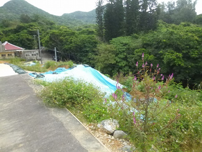 【外観】 | 本部町謝花売地