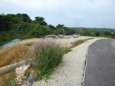 【外観】 | 本部町謝花売地