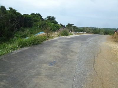 【外観】 | 本部町謝花売地