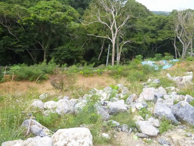 【外観】 | 本部町謝花売地