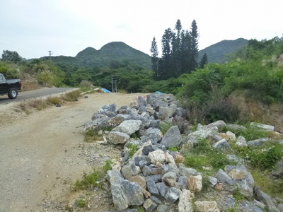 【外観】 | 本部町謝花売地