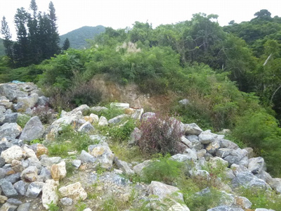 【外観】 | 本部町謝花売地