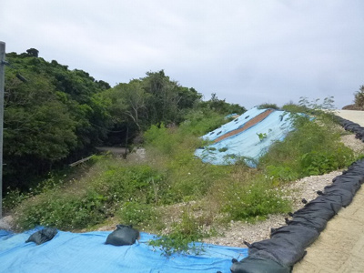 【外観】 | 本部町謝花売地