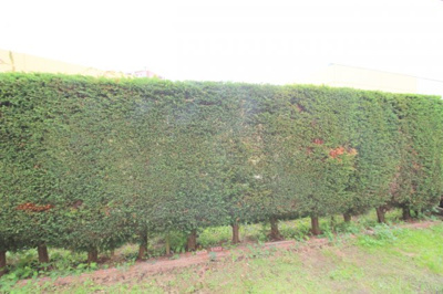 【展望】 | ノーブルハウス