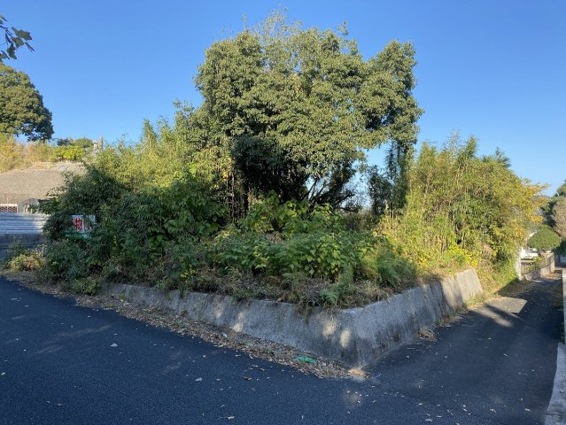 【前面道路含む現地写真】 | 大任売地