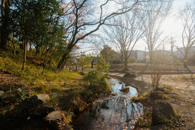 【周辺】 | ルモントワール青葉