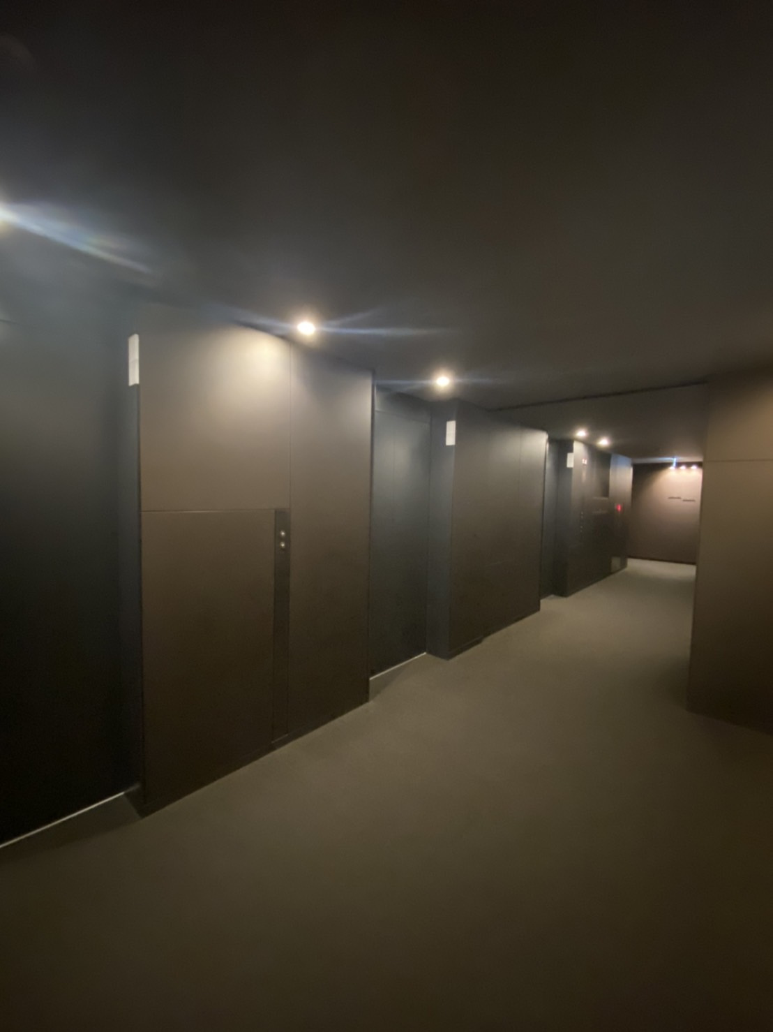 ザ・パークハウス西麻布レジデンスのその他共用部分|濃いブラウンで仕上げられたホテルライクな2階EVホールです。