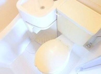 参考画像