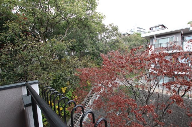 ダイアパレス植物園南の展望