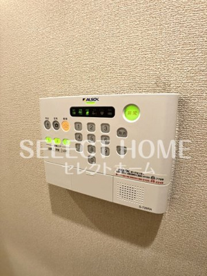  | アルヴィータ上地
