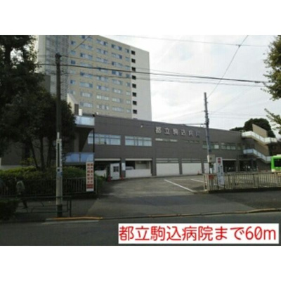 【周辺】 | プリマヴェリーナ