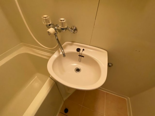 リバーサイド内田の洗面所