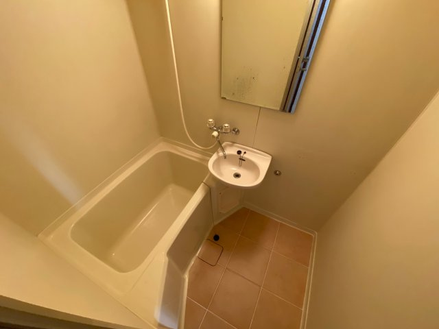 リバーサイド内田の浴室