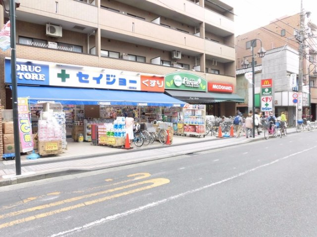 ツバキの周辺|周辺