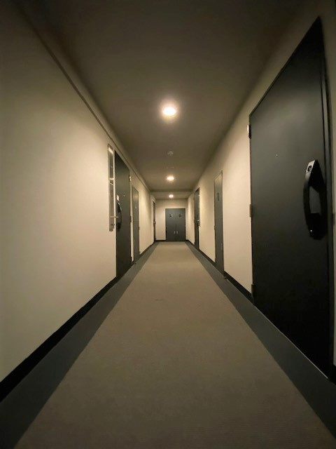 の-の画像