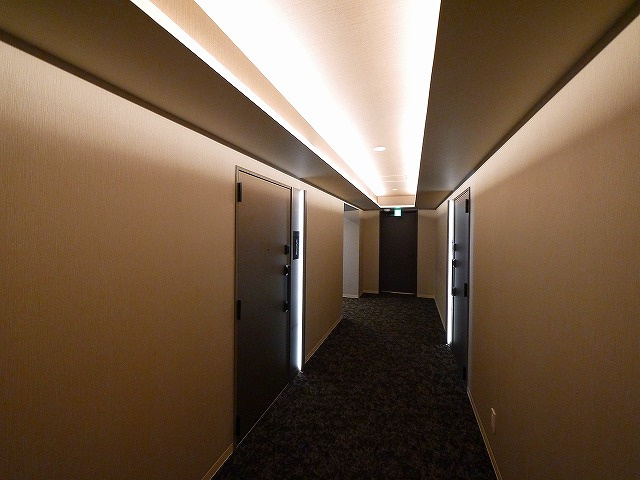 サンスクリット西大寺のその他共用部分|高級感のある通路です