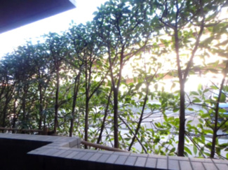 【展望】 | 別部屋同タイプのお写真から物件の雰囲気をご参考くださいませ。