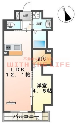 Tiara（ティアラ）本町【キャッシュバック対象物件】の間取り